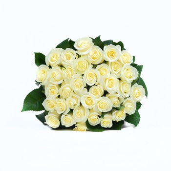 Chiltepec, Bouquet de 36 Rosas Blancas