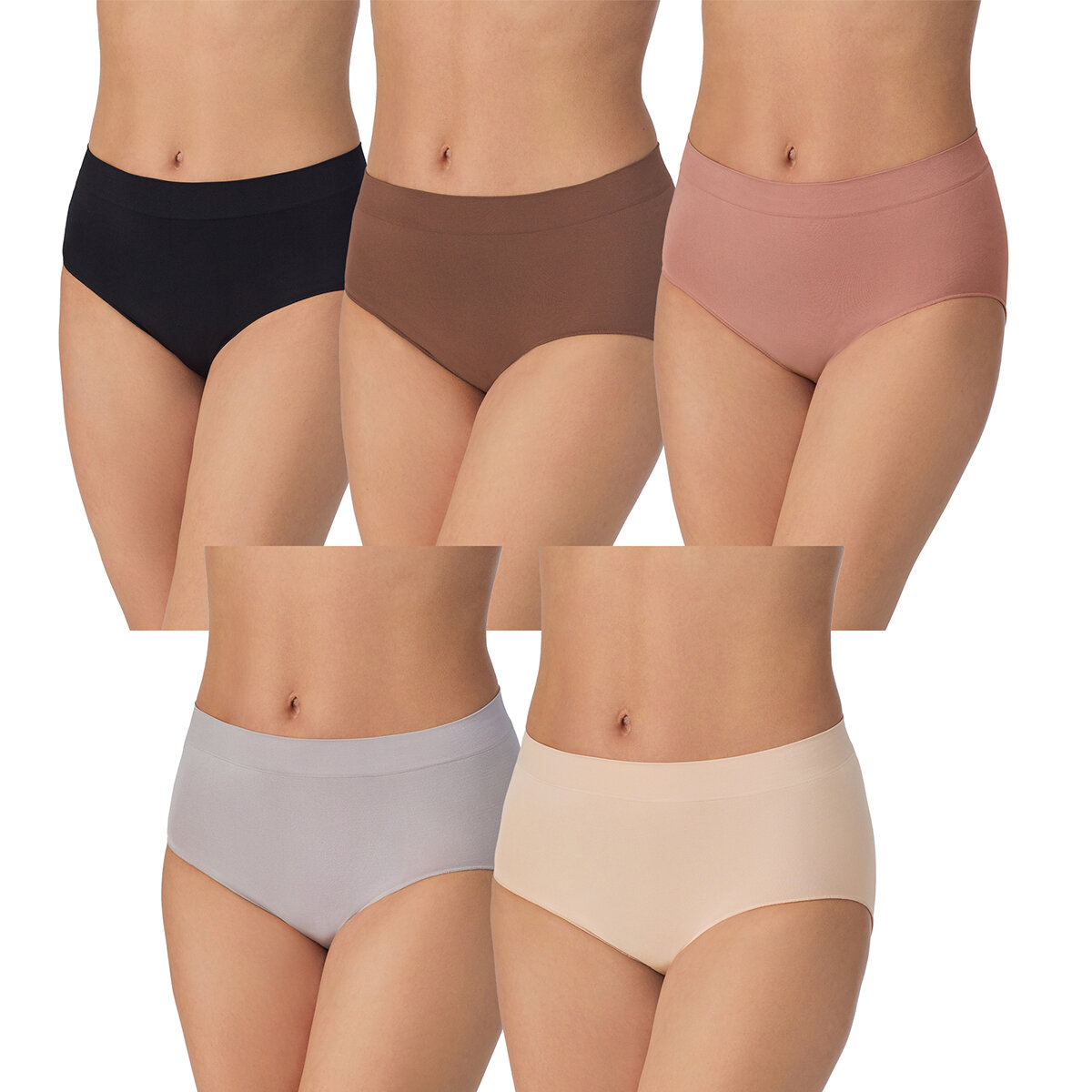 Carole Hochman Ropa Interior para Dama 5 piezas Varias Tallas y Colores Carole Hochman Ropa Interior para Dama 5 piezas Varias Tallas y Colores
