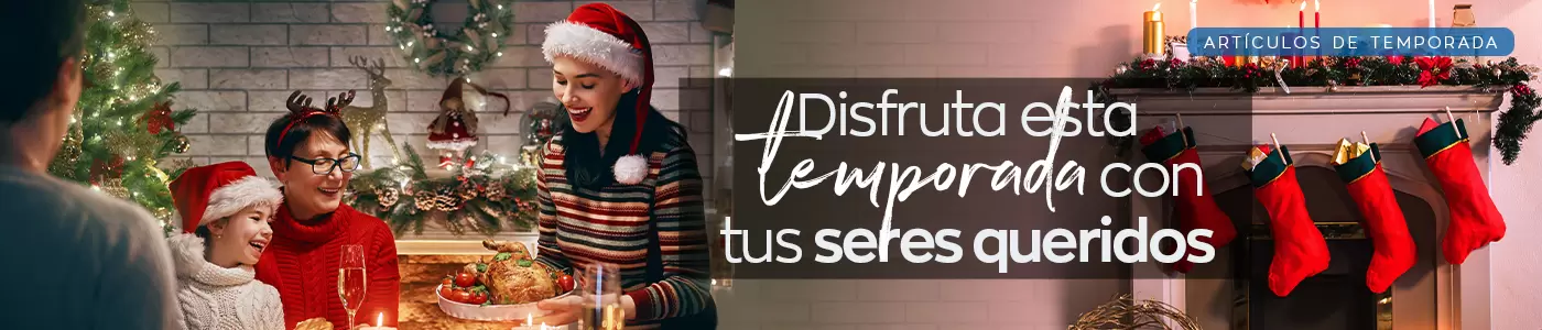 Category-Banners-20_articulos-de-navidad.jpg