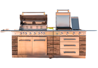 Asadores eléctricos y gas, hieleras y accesorios para asado