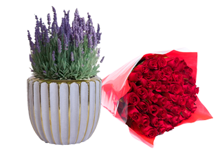 Ramos de flores para toda ocasión, plantas y huertos para jardín