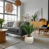 CG Hunter, Agave Artificial CG Hunter, Agave Artificial