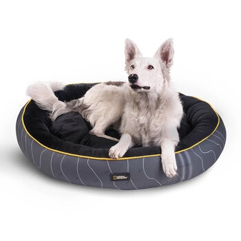 Cama Tapete Para Perros Chicos – Puff MX