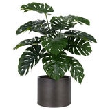 CG Hunter, Árbol Artificial de Monstera con Base CG Hunter, Árbol Artificial de Monstera con Base