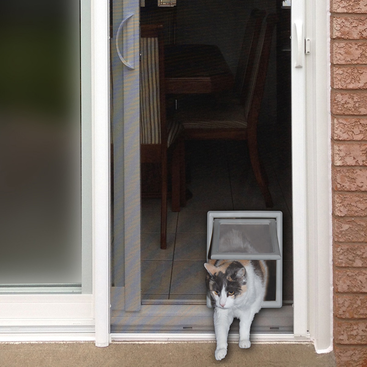 Ideal Pet Products Screen Fit puerta para gato | Costco M