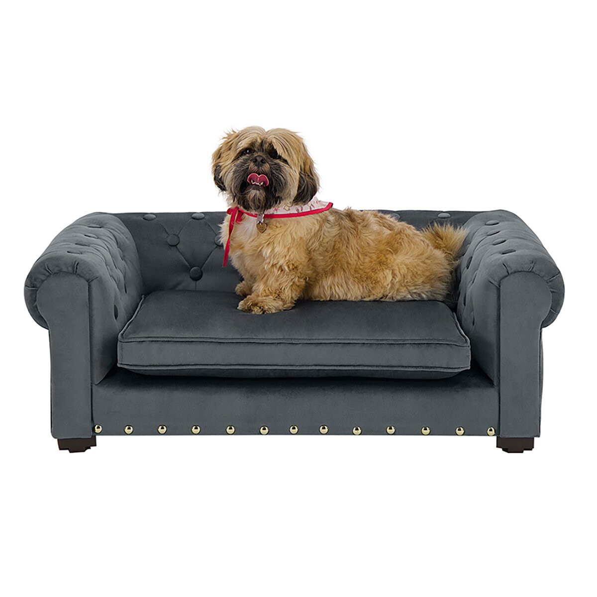 Maypet Cama para Perro Capitonada Tapizado con Terciopelo Color Gris