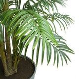 CG Hunter, Palmera de Aspecto Natural