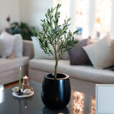 Apariencia Natural, Árbol de Olivo Artificial Apariencia Natural, Árbol de Olivo Artificial