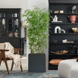 CG Hunter, Bambú de Aspecto Natural CG Hunter, Bambú de Aspecto Natural