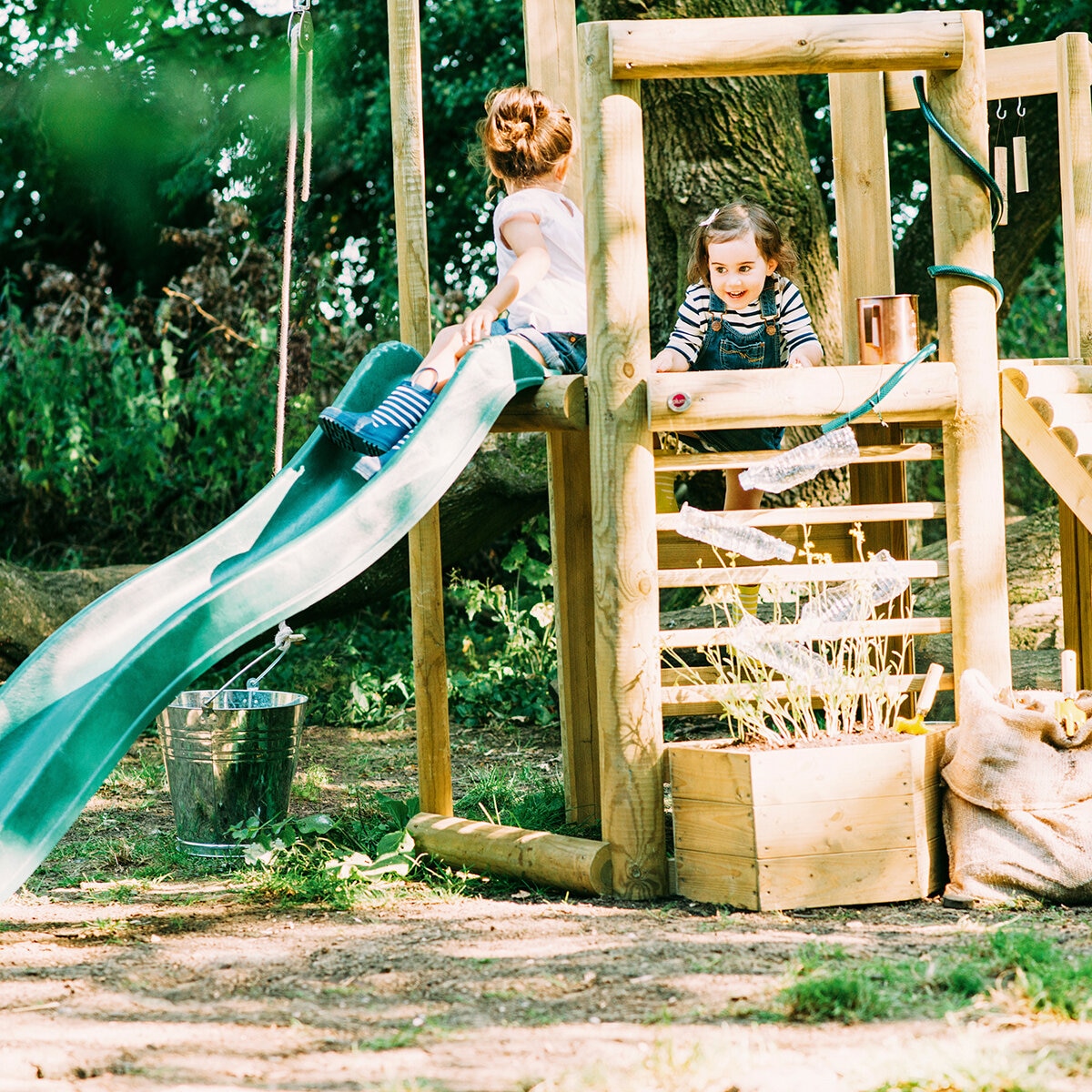 Plum Casa del Árbol Woodland Plum Casa del Árbol Woodland