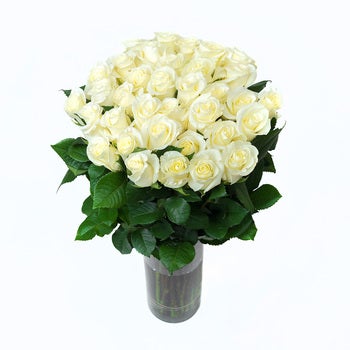 Bouquet de 36 rosas color blanco Bouquet de 36 rosas color blanco