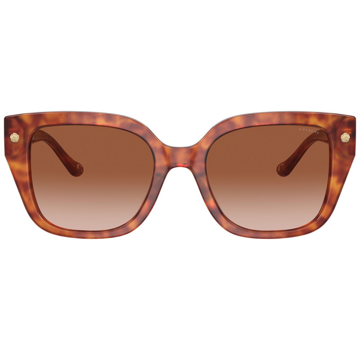 Coach 0HC8392U Lentes de Sol Coach 0HC8392U Lentes de Sol