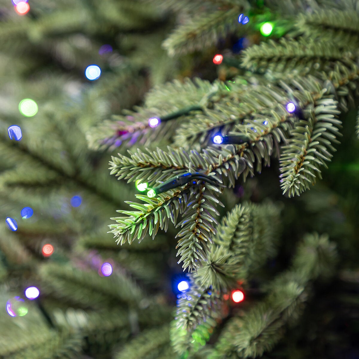 Árbol de Navidad Pre-Iluminado 2.7m con 2,200 Luces Radiant Micro LED Árbol de Navidad Pre-Iluminado 2.7m con 2,200 Luces Radiant Micro LED