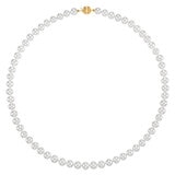 Collar de Perlas Cultivadas, 6.5-7.0mm, Oro Amarillo de 14K Collar de Perlas Cultivadas, 6.5-7.0mm, Oro Amarillo de 14K