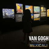 Van Gogh The Immersive Experience MEXICALI 4 Pack