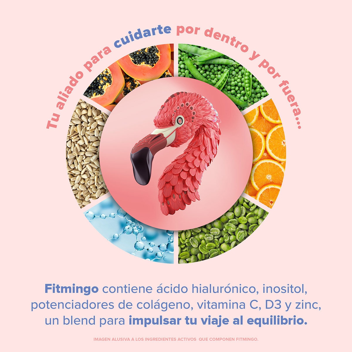 Birdman Fitmingo Proteína Vegetal Sabor Moka 1.496 kg Birdman Fitmingo Proteína Vegetal Sabor Moka 1.496 kg