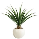 CG Hunter, Agave Artificial CG Hunter, Agave Artificial
