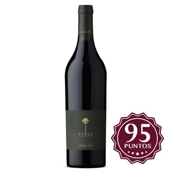 Vino Tinto Santa Rita Pewën de Apalta Carmenere 750 ml