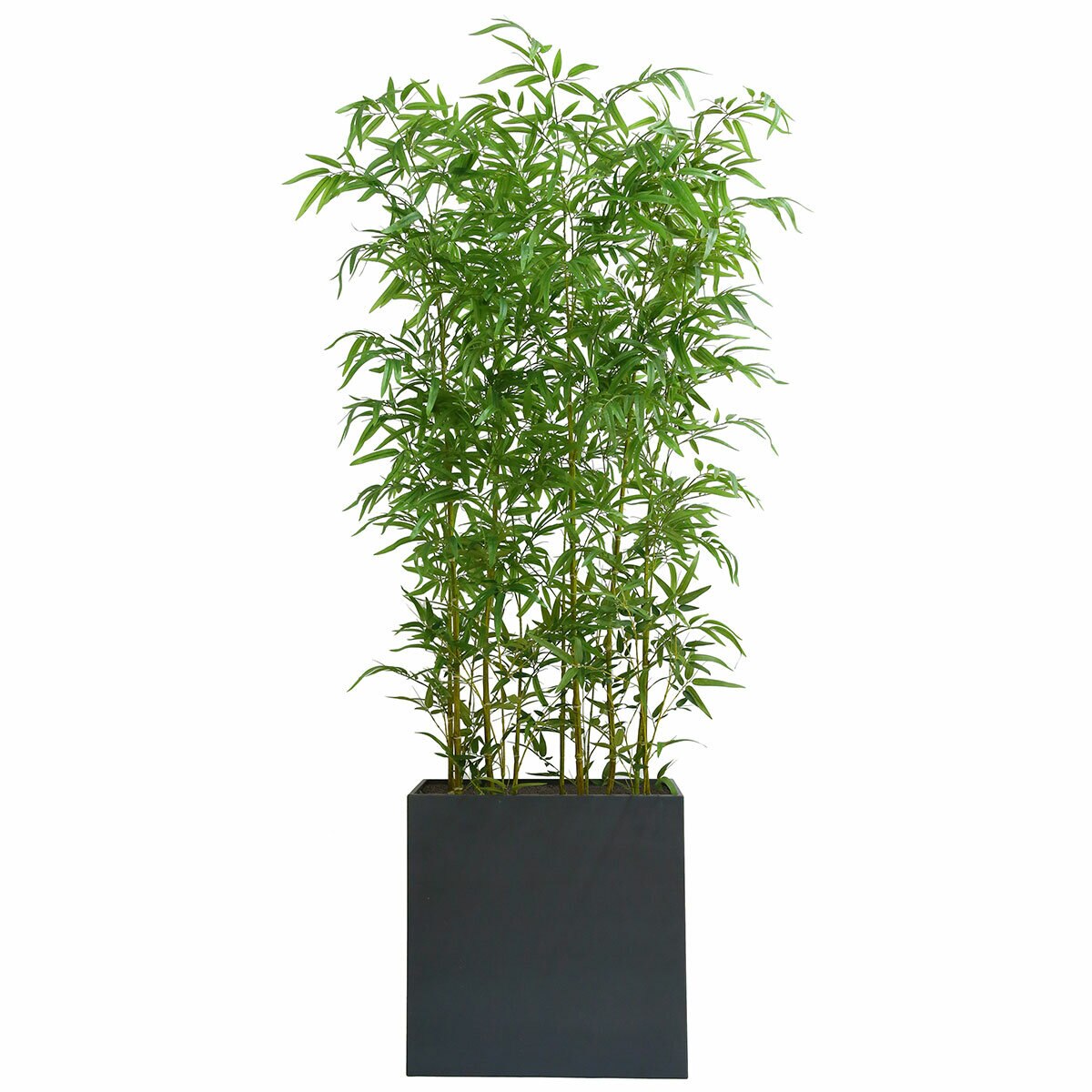 CG Hunter, Bambú de Aspecto Natural CG Hunter, Bambú de Aspecto Natural