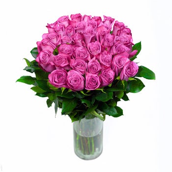Bouquet 36 rosas color lila Bouquet 36 rosas color lila