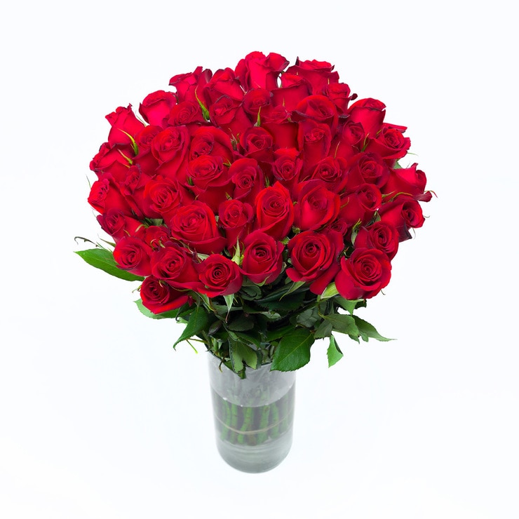 Bouquet de 48 Rosas Color Rojo | Costco México