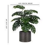 CG Hunter, Árbol Artificial de Monstera con Base CG Hunter, Árbol Artificial de Monstera con Base