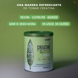 Birdman Creatina Refresher Limón 2/300 g Birdman Creatina Refresher Limón 2/300 g