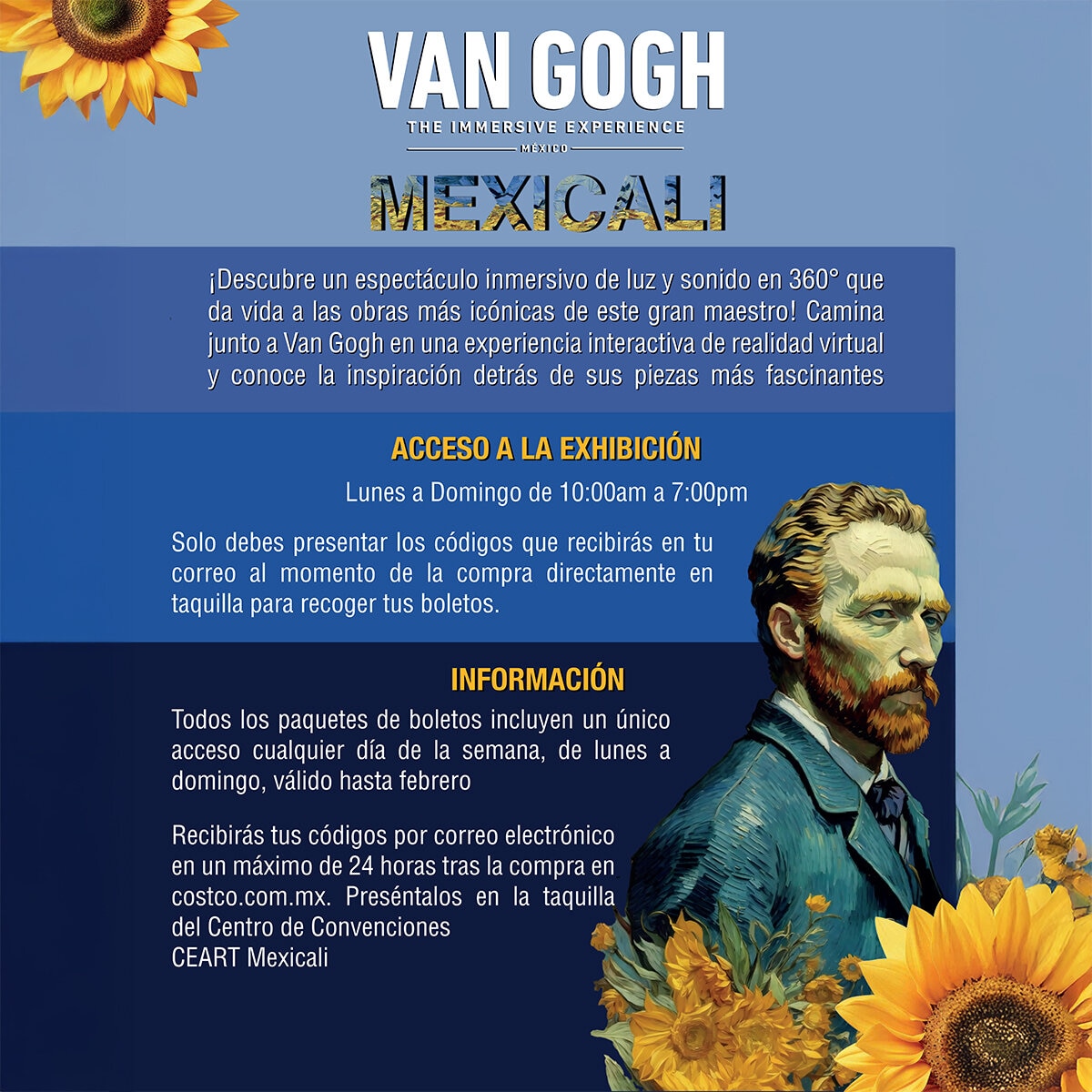 Van Gogh The Immersive Experience MEXICALI 4 Pack