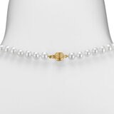 Collar de Perlas Cultivadas, 6.5-7.0mm, Oro Amarillo de 14K Collar de Perlas Cultivadas, 6.5-7.0mm, Oro Amarillo de 14K