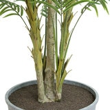 CG Hunter, Palmera de Aspecto Natural