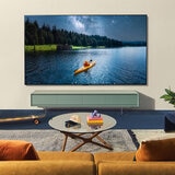 LG Pantalla 55" OLEDevo