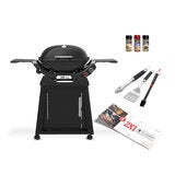 Weber, Q2800N+ Asador de Gas con Carrito + Accesorios + Grill Academy Weber, Q2800N+ Asador de Gas con Carrito + Accesorios + Grill Academy