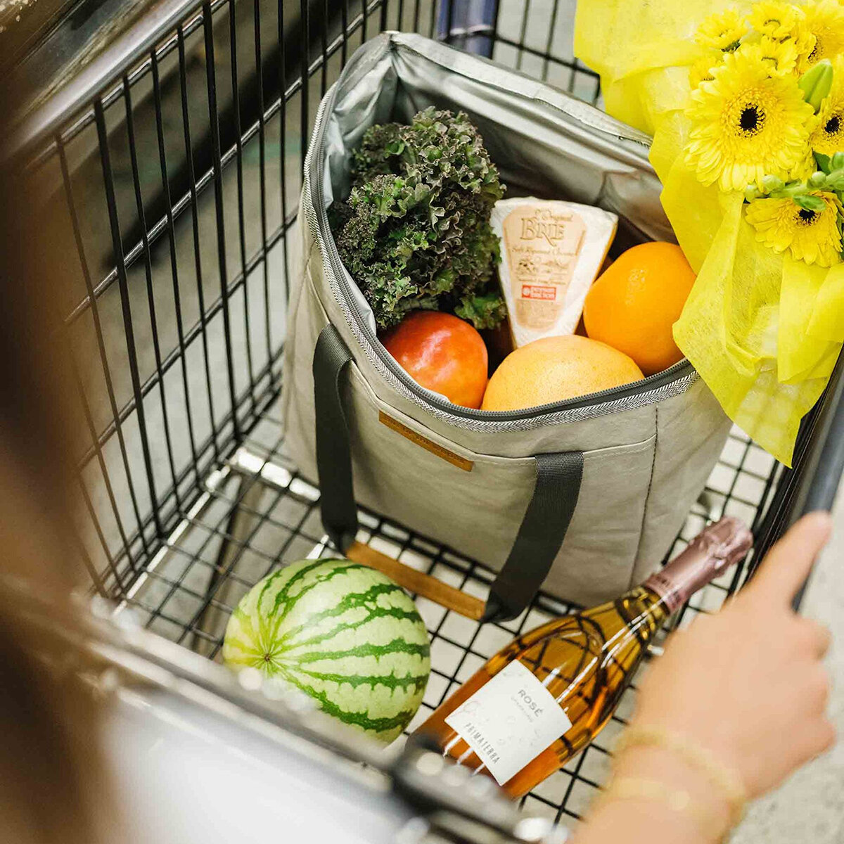 Out Of The Woods Lonchera Dolphin Out Of The Woods Lonchera Dolphin