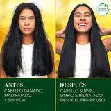 Herbal Essences Shampoo Pequi & Aguacate 865 ml