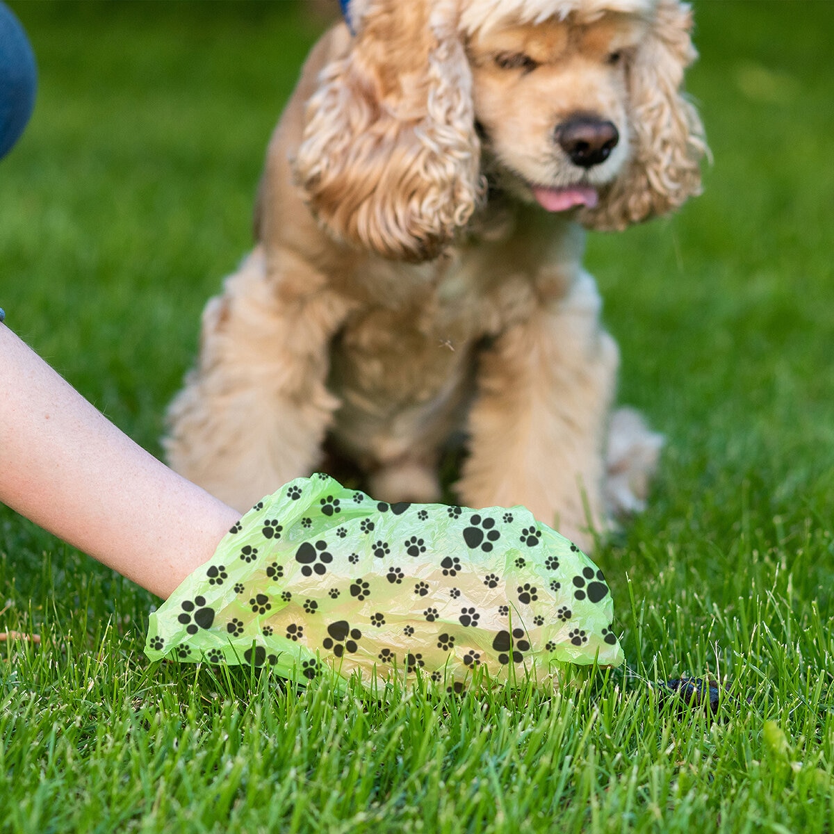 Logar Bolsas para Desecho de Mascota 20 Rollos de 15 Bolsas Logar Bolsas para Desecho de Mascota 20 Rollos de 15 Bolsas