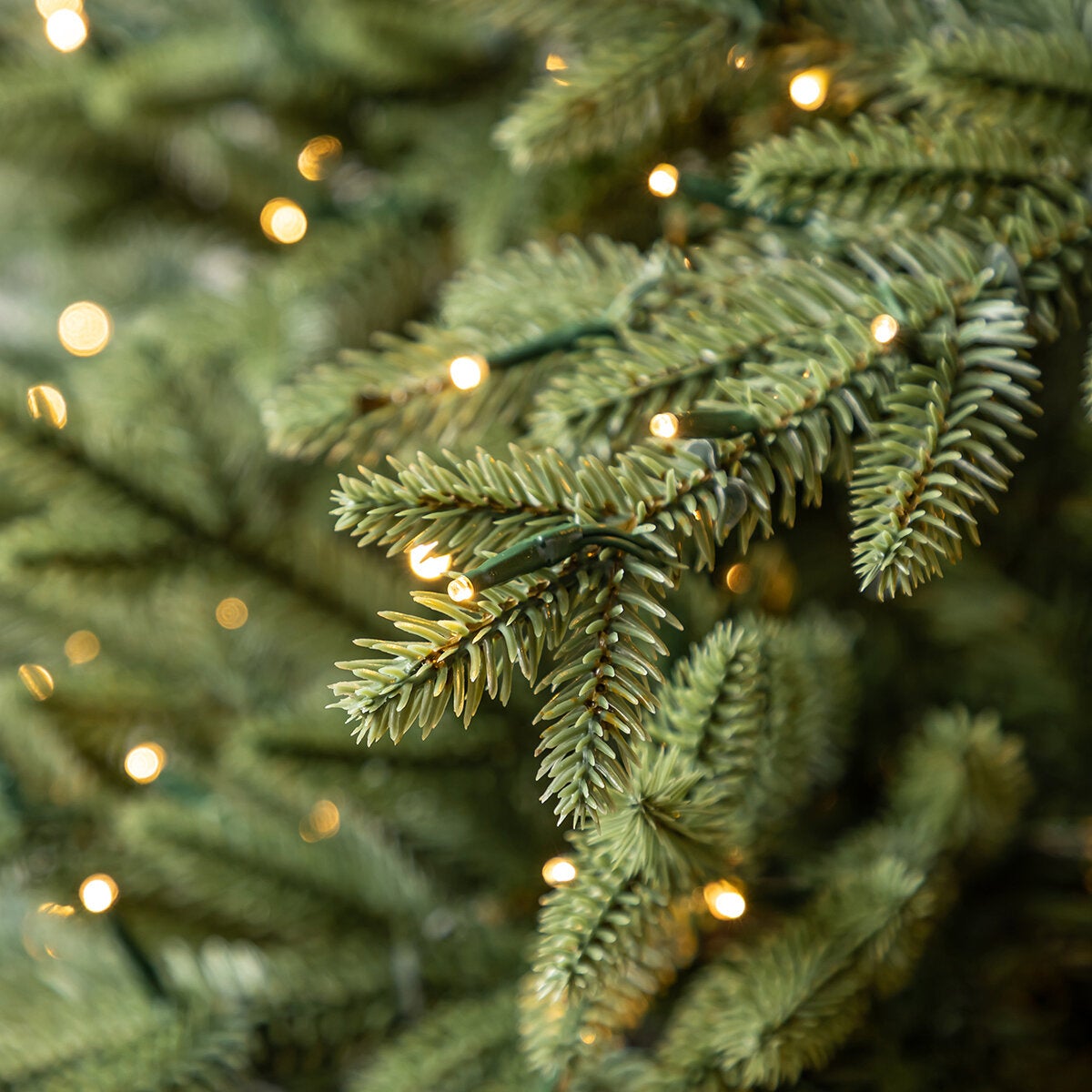 Árbol de Navidad Pre-Iluminado 2.7m con 2,200 Luces Radiant Micro LED Árbol de Navidad Pre-Iluminado 2.7m con 2,200 Luces Radiant Micro LED
