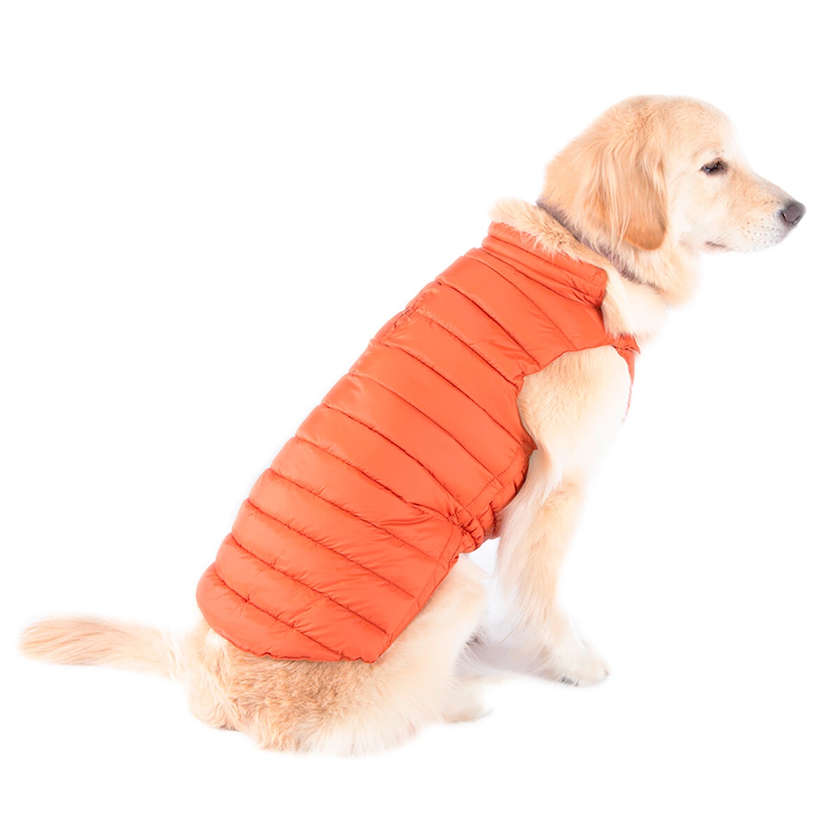 Shyla, Chaleco Capitonado para Perro Color Naranja, Varias Tallas