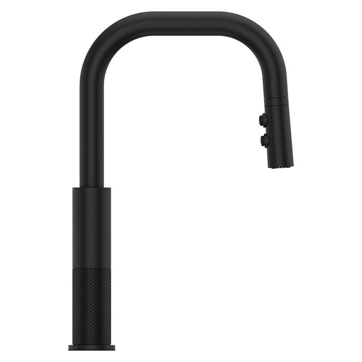 Pfister, Grifo Monomando de Cocina Desplegable Montay, Negro Mate Pfister, Grifo Monomando de Cocina Desplegable Montay, Negro Mate