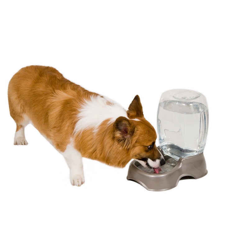 Petmate despachador de alimento y agua 2 piezas Petmate despachador de alimento y agua 2 piezas