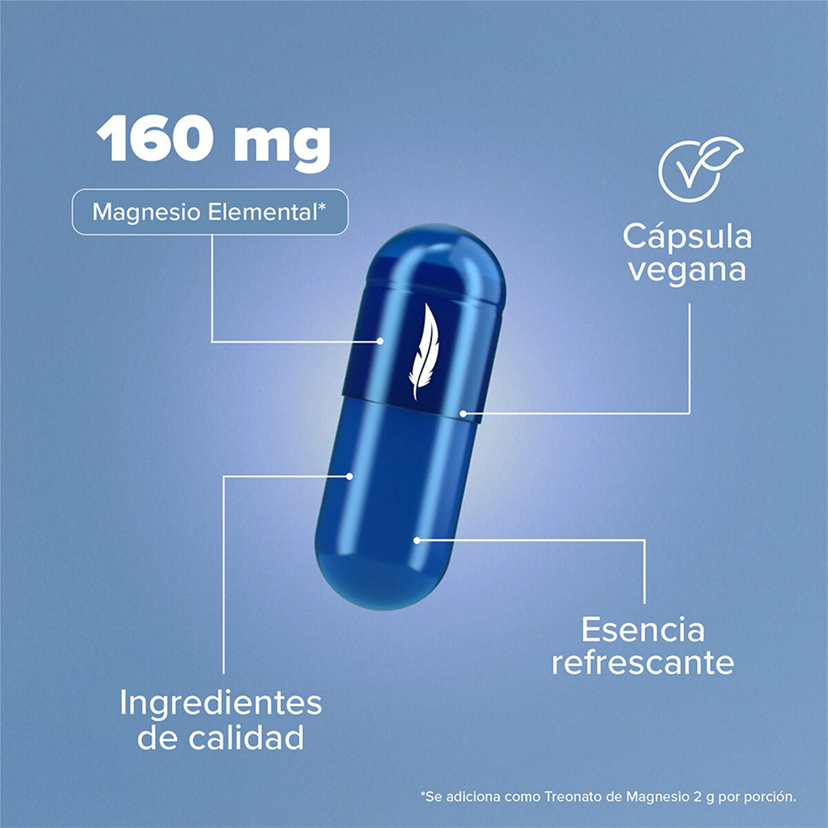 Birdman Treonato de Magnesio 2 Frascos de 90 Cápsulas Birdman Treonato de Magnesio 2 Frascos de 90 Cápsulas