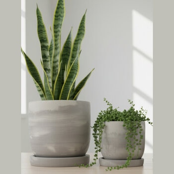 Zuccu Design, Tulip Marmoleada Macetas de Concreto, 2 piezas Zuccu Design, Tulip Marmoleada Macetas de Concreto, 2 piezas