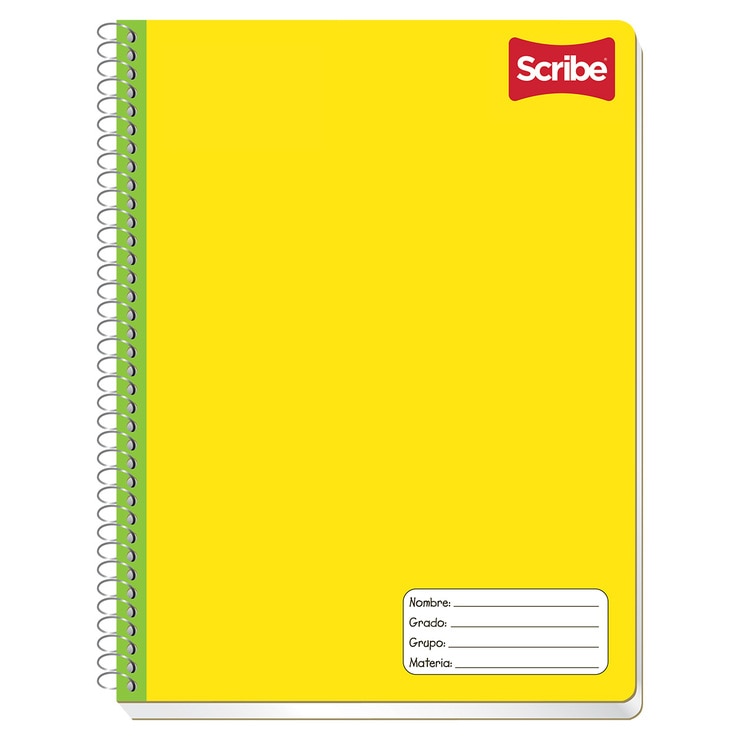 Scribe Cuaderno profesional cuadro chico 100 hojas ...