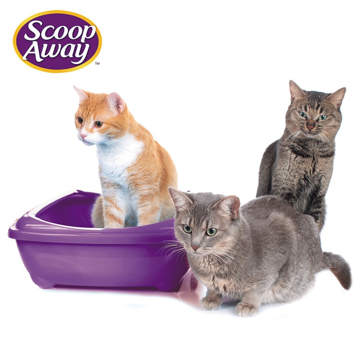Scoop Away Complete Arena para Gatos 19 kg Scoop Away Complete Arena para Gatos 19 kg