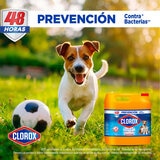 Clorox Expert Perros y Gatos Desinfectante 10 kg Clorox Expert Perros y Gatos Desinfectante 10 kg