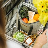 Out Of The Woods Lonchera Dolphin Out Of The Woods Lonchera Dolphin