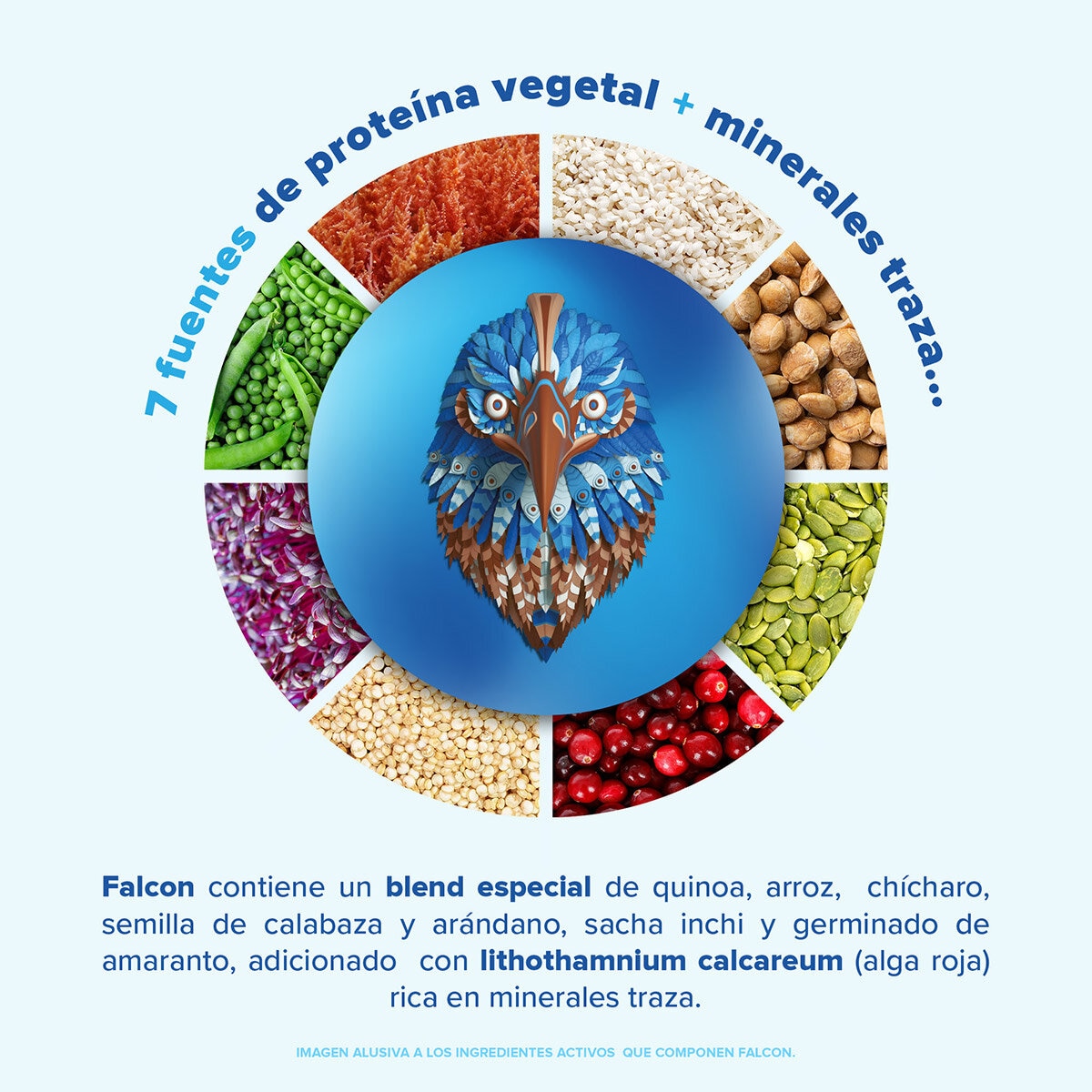 Birdman Falcon Proteína Vegetal Orgánica Sabor Doble Chocolate 1.5 kg Birdman Falcon Proteína Vegetal Orgánica Sabor Doble Chocolate 1.5 kg