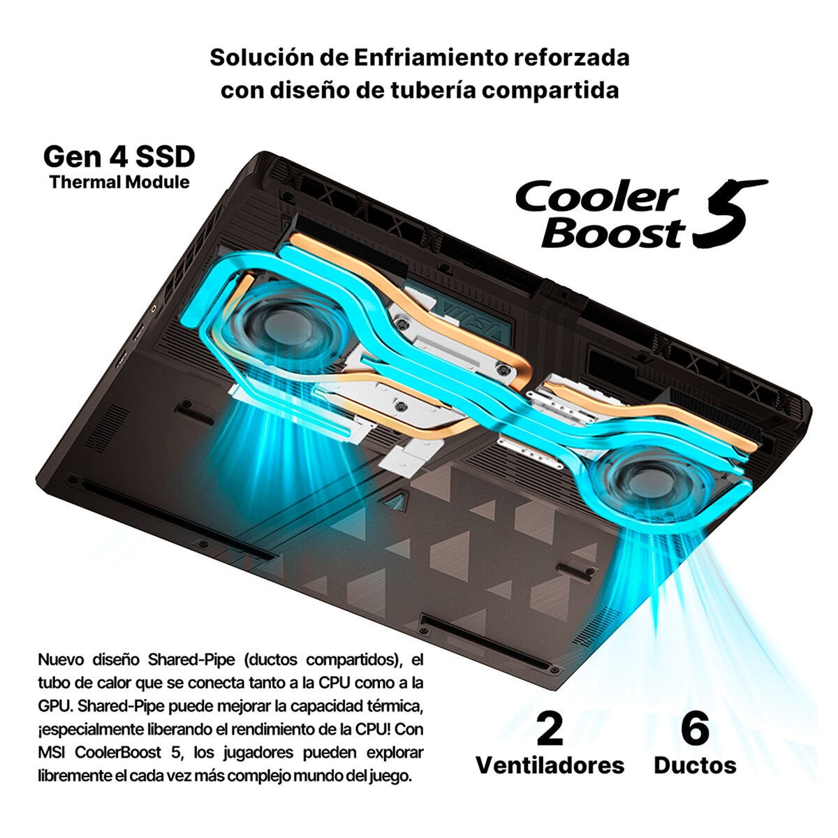 MSI Vector 16 Laptop Gaming 16" QHD+ Intel Core Ultra 9 32GB 1TB SSD MSI Vector 16 Laptop Gaming 16" QHD+ Intel Core Ultra 9 32GB 1TB SSD