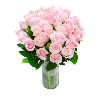 Bouquet 36 rosas color rosa claro Bouquet 36 rosas color rosa claro