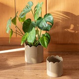 Over & Back, Inspiration Set de 2 Macetas Beige Over & Back, Inspiration Set de 2 Macetas Beige