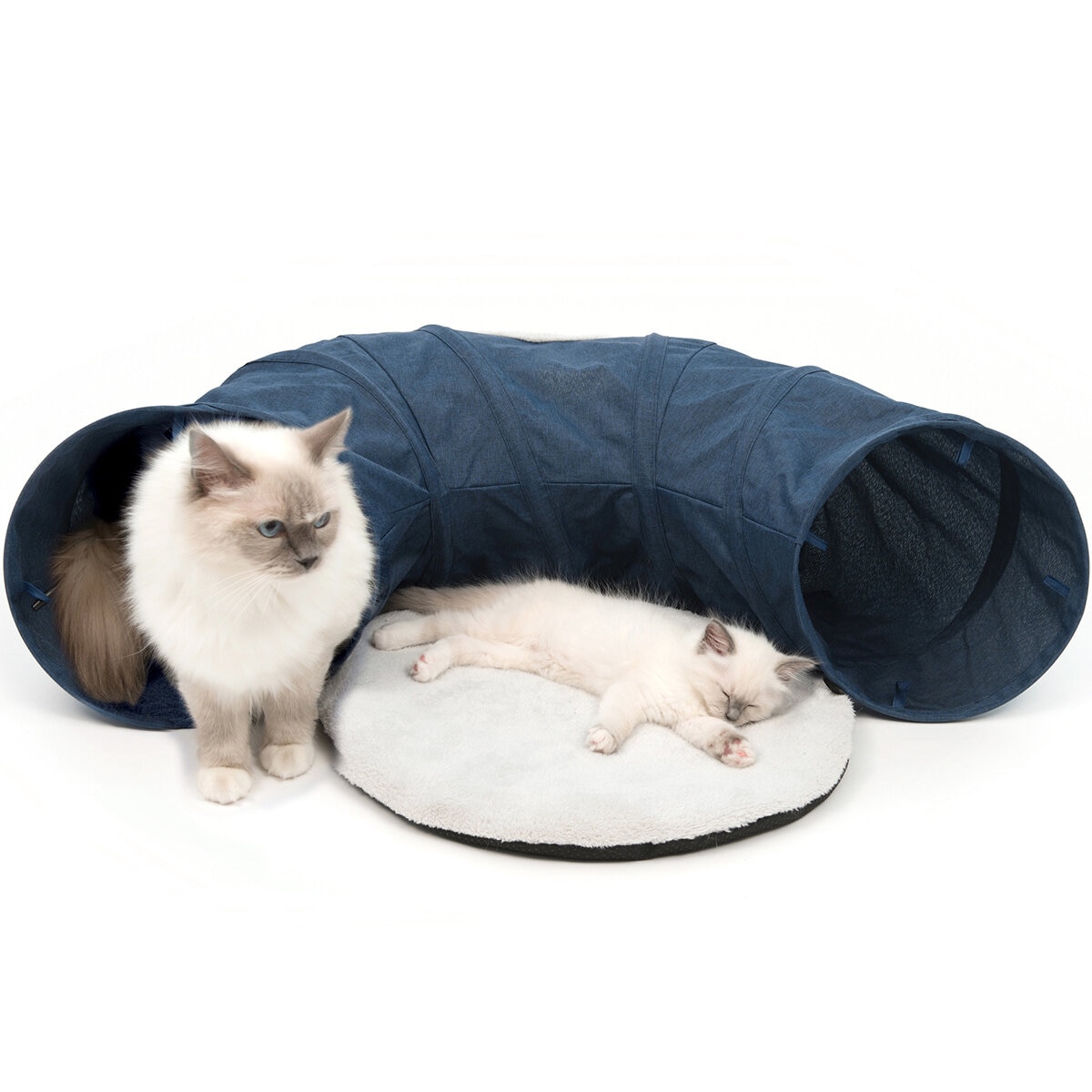 Catit Tunel/Cama para Gato 1 pza color azul